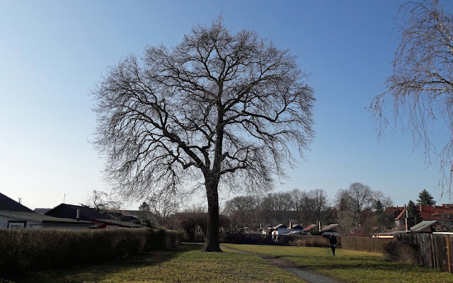 Zahrádkářský spolek „Am Anton-Günther-Park“